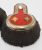 Bavarian General Epaulets for the 1st Schwere Reiter Regiment Visuel 6